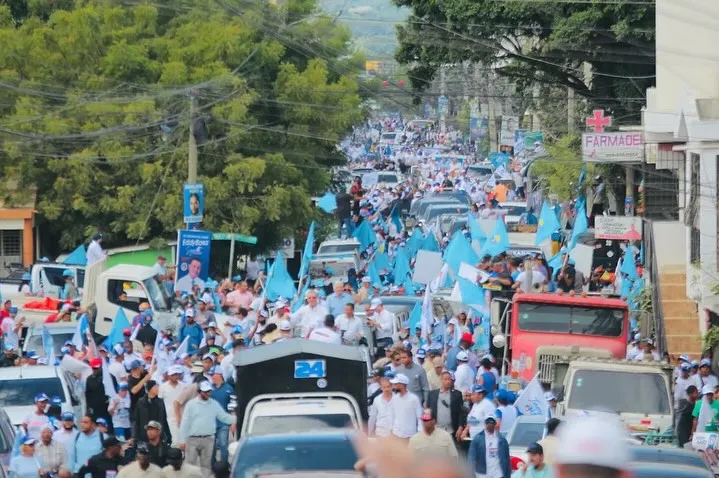 Actividad partidaria